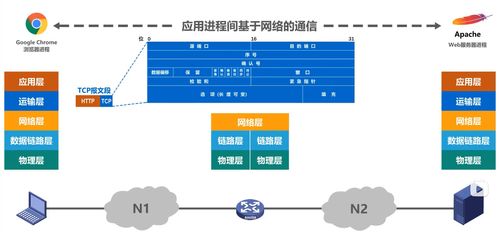 笔记4 计算机网络的体系结构